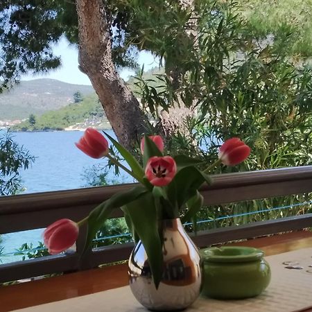 Holiday Home Milenka Rogoznica  Extérieur photo